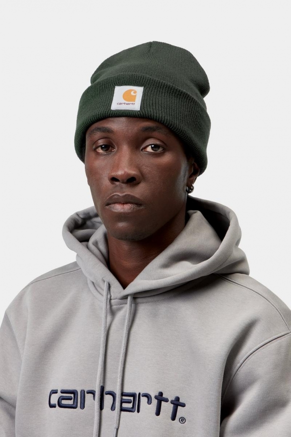 Carhartt Short Watch Hat - Dunkler Skarabäus