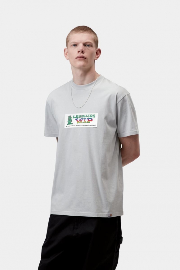 Carhartt S/S Bumper Stickers T-Shirt - Pontiki Carhartt S/S Bumper Stickers T-Shirt - Pontiki