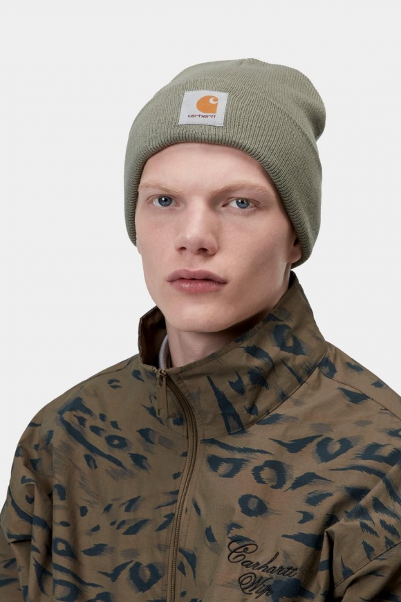 Carhartt Short Watch Hat - Schattiges Grün Carhartt Short Watch Hat - Schattiges Grün
