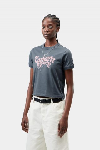 Carhartt S/S Disenchant Ringer T-Shirt - Styx