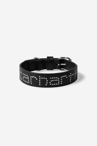 Carhartt Script Studs Dog Collar - Schwarz - S/M Carhartt Script Studs Dog Collar - Schwarz - S/M
