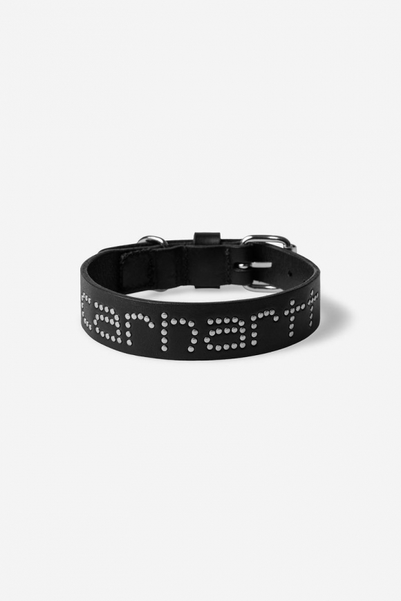 Carhartt Script Studs Dog Collar - Schwarz - S/M Carhartt Script Studs Dog Collar - Schwarz - S/M