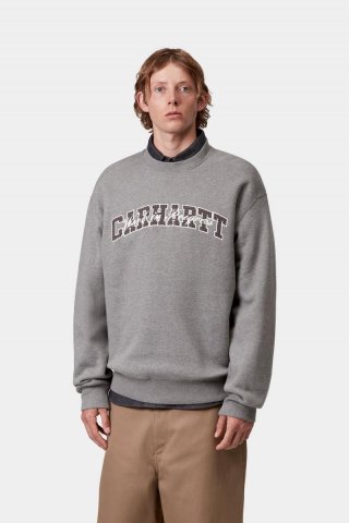 Carhartt Big School Sweatshirt - Dunkelgraues Heidekraut Carhartt Big School Sweatshirt - Dunkelgraues Heidekraut