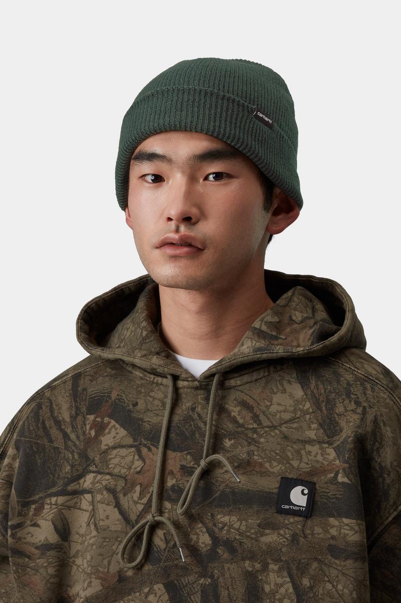 Carhartt Gordan Beanie - Dunkler Skarabäus