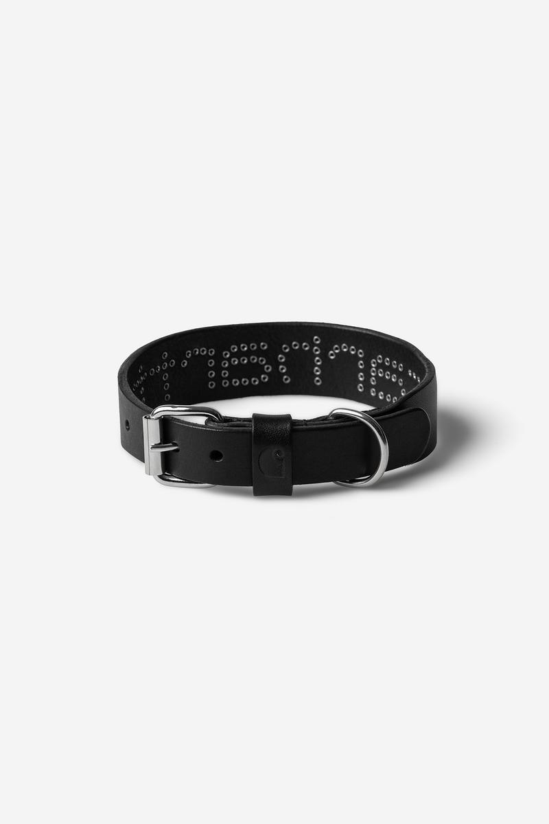 Carhartt Script Studs Dog Collar - Schwarz - S/M
