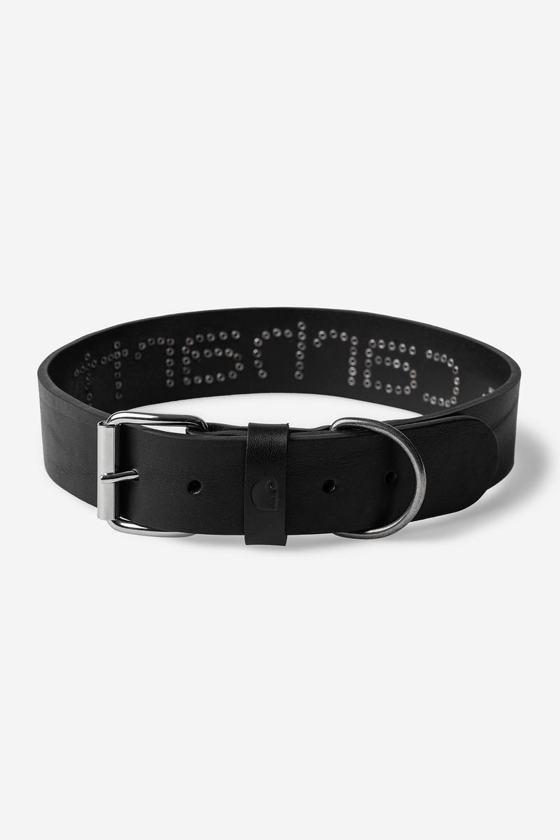Carhartt Script Studs Dog Collar - Schwarz - M/L
